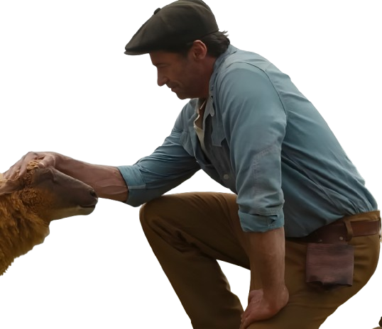 The Sheep Detectives Hugh Jackman Blue Shirt - Image 3